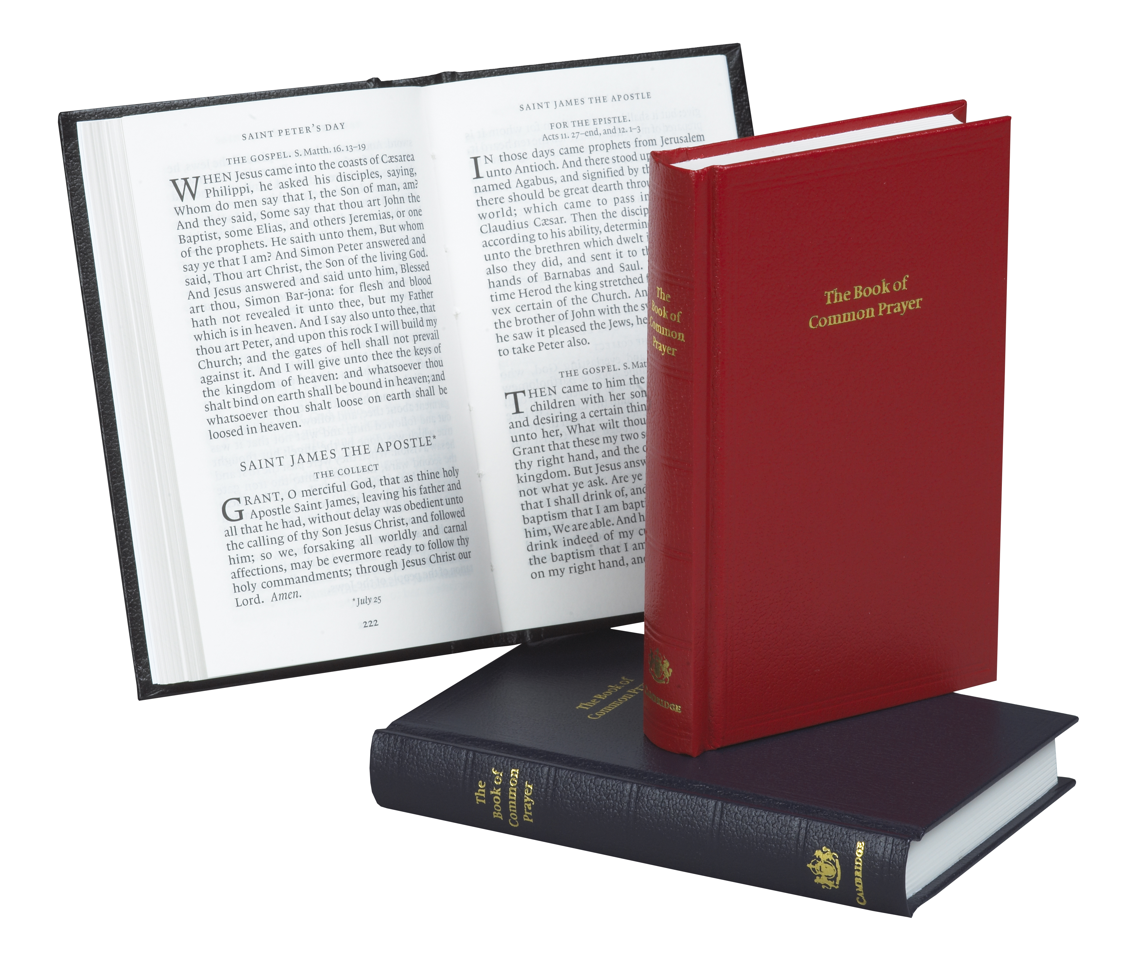 BCP Standard Edition | Cambridge University Press & Assessment